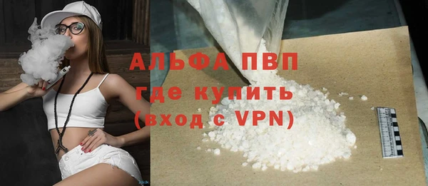 прущая мука Вяземский