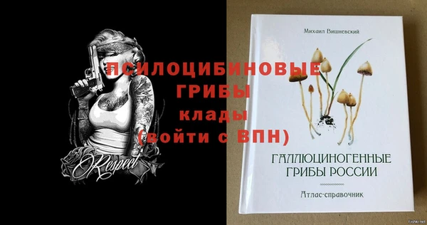 прущая мука Вяземский