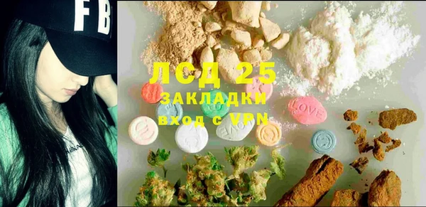 прущая мука Вяземский