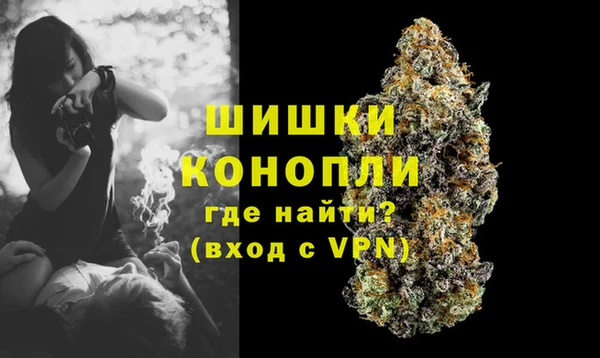 соль ск Вязьма