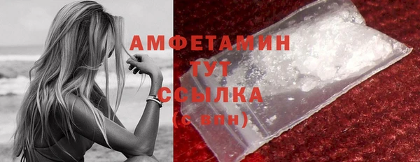 прущая мука Вяземский
