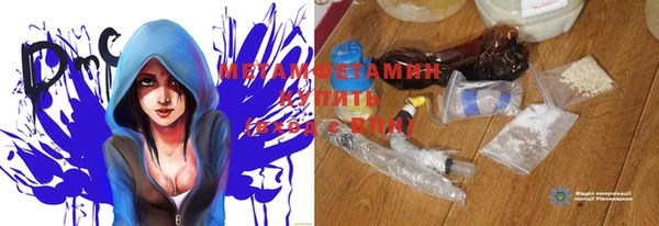 прущая мука Вяземский