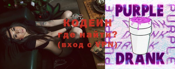 прущая мука Вяземский