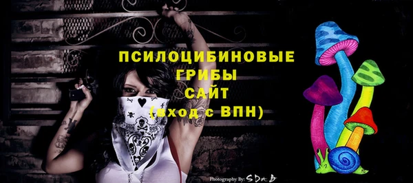 прущая мука Вяземский